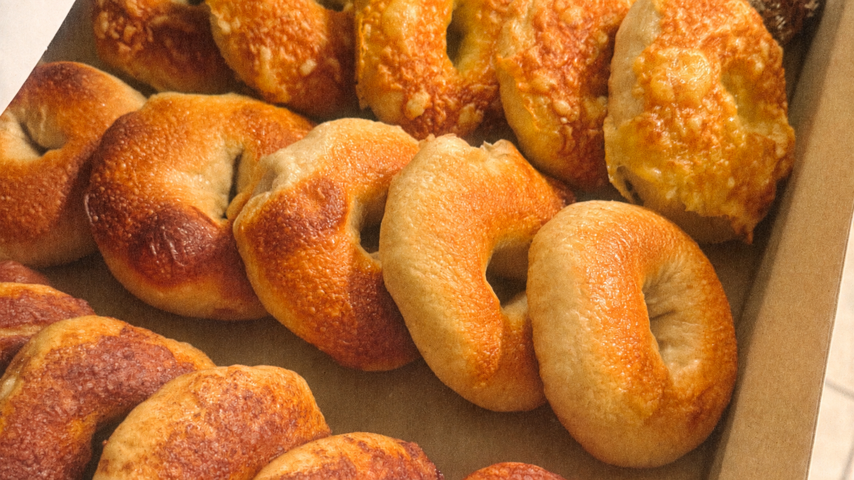 Assorted freshly baked bagels in a box